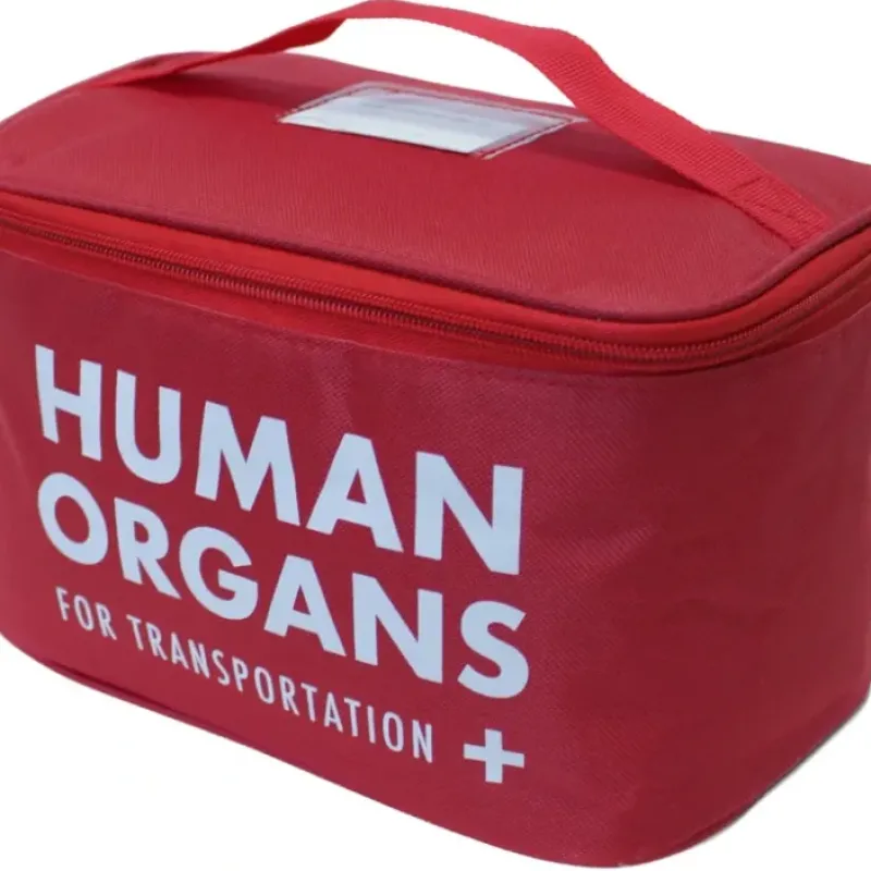 Egpull<Human Organs Lunch Bag - Insulated School Cooler Gag Joke - E.M.T Medical Prop - Miniature Marvels: Airplane Models & Painted Dice