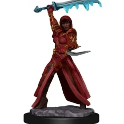 Miniature<Human Rogue Female: Premium Figures - D&D Icons of the Realms WZK 93032 - Miniature Marvels: Airplane Models & Painted Dice