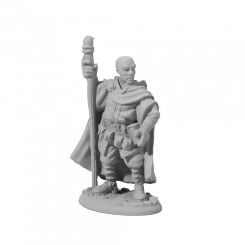 Miniature<Human Wizard, Amari: Dark Heaven Legends RPR 04013 - Miniature Marvels: Airplane Models & Painted Dice