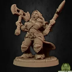 Miniature<Ignes The Assoult - Miniature Marvels: Airplane Models & Painted Dice