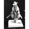 Miniature<Jakob Knochengard: Dark Heaven Legends RPR 03785 - Miniature Marvels: Airplane Models & Painted Dice