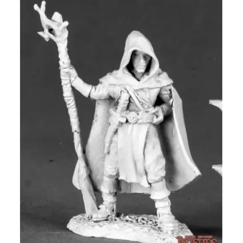 Miniature<Karahl Farstep, Wizard: Dark Heaven Legends RPR 03504 - Miniature Marvels: Airplane Models & Painted Dice