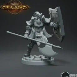 Miniature<Knight Bedivere Guarding - Miniature Marvels: Airplane Models & Painted Dice