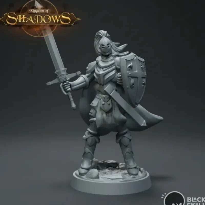 Miniature<Knight Galahad With Shield - Miniature Marvels: Airplane Models & Painted Dice