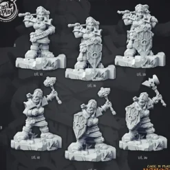 Miniature<Lasryl "The Cleric" - Miniature Marvels: Airplane Models & Painted Dice