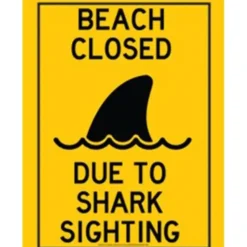 Egpull<Metal Tin Sign "Beach Closed: Due to Shark Sighting" Beach Jaws Decor #B-101 - Miniature Marvels: Airplane Models & Painted Dice
