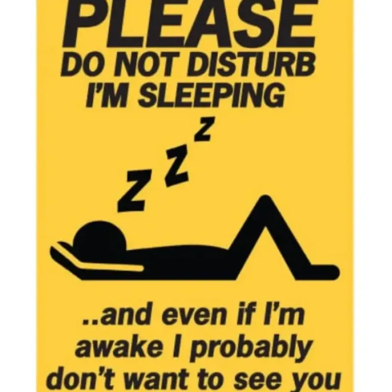 Egpull<Metal Tin Sign "Do Not Disturb - I'm Sleeping" Work Office Wall Decor #E-101 - Miniature Marvels: Airplane Models & Painted Dice