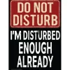 Egpull<Metal Tin Sign "Do Not Disturb - I'm Disturbed Enough Already" Wall Decor #F-101 - Miniature Marvels: Airplane Models & Painted Dice