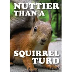 Egpull<Metal Tin Sign "Nuttier Than A Squirrel Turd" Funny Office Wall Decor #E-101 - Miniature Marvels: Airplane Models & Painted Dice