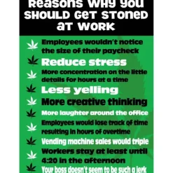 Egpull<Metal Tin Sign "Reasons To Get Stoned At Work" Funny Office Wall Decor #B-101 - Miniature Marvels: Airplane Models & Painted Dice