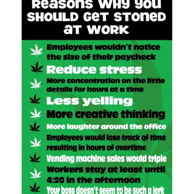 Egpull<Metal Tin Sign "Reasons To Get Stoned At Work" Funny Office Wall Decor #B-101 - Miniature Marvels: Airplane Models & Painted Dice