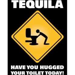 Egpull<Metal Tin Sign "TEQUILA: Have You Hugged Your Toilet Today!" Bar Man Cave #C-101 - Miniature Marvels: Airplane Models & Painted Dice