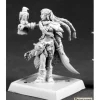 Miniature<Nature Warden: Pathfinder RPR 60064 - Miniature Marvels: Airplane Models & Painted Dice