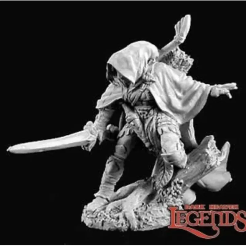 Miniature<Nienna, Elf Ranger: Dark Heaven Legends RPR 02909 - Miniature Marvels: Airplane Models & Painted Dice