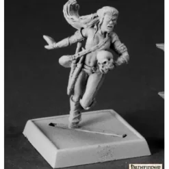 Miniature<Pathfinder Agent: Pathfinder RPR 60080 - Miniature Marvels: Airplane Models & Painted Dice