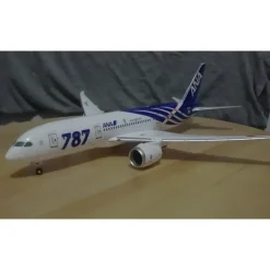 Airplane Model*Phoenix Models 20069 1:200 ANA Boeing 787-8 JA801A - Miniature Marvels: Airplane Models & Painted Dice
