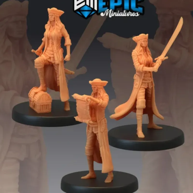 Miniature<Pirate Quartermaster - Miniature Marvels: Airplane Models & Painted Dice