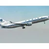 Airplane Model<Pre-Order Phoenix 11937 1:400 Varig MD-11 PP-VOP - Miniature Marvels: Airplane Models & Painted Dice