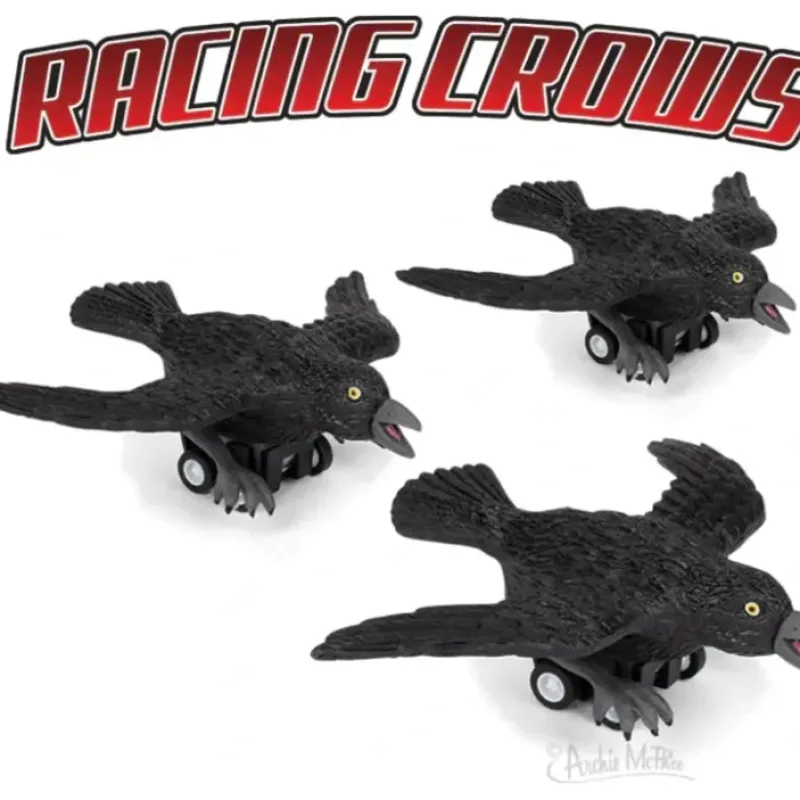Egpull<Racing Crow (set of 3) Funny Pull Back Race Bird Toys - Archie McPhee - Miniature Marvels: Airplane Models & Painted Dice