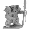 Reaper Miniatures<Reaper Champion of Maersuluth 30046 - Miniature Marvels: Airplane Models & Painted Dice