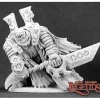 Miniature<Requius, Death Warden: Dark Heaven Legends RPR 03083 - Miniature Marvels: Airplane Models & Painted Dice