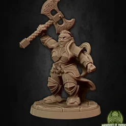 Miniature<Rilonna Ironmind - Miniature Marvels: Airplane Models & Painted Dice