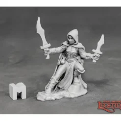 Miniature<Serena, Dreadmere Rogue: Dark Heaven Legends RPR 03873 - Miniature Marvels: Airplane Models & Painted Dice