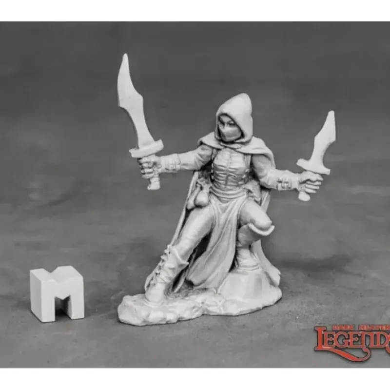 Miniature<Serena, Dreadmere Rogue: Dark Heaven Legends RPR 03873 - Miniature Marvels: Airplane Models & Painted Dice