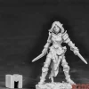Miniature<Shardis, Elf Rogue: Dark Heaven Legends RPR 03862 - Miniature Marvels: Airplane Models & Painted Dice