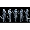 Miniature<Tabaxi Female - Miniature Marvels: Airplane Models & Painted Dice