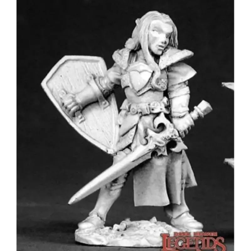 Miniature<Telemnar, Elf Warrior: Dark Heaven Legends RPR 02571 - Miniature Marvels: Airplane Models & Painted Dice
