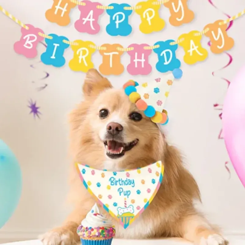 Egpull<The Birthday Dog Puppy Kit - GO VIRAL - Funny GaG Costume Complete Set - Miniature Marvels: Airplane Models & Painted Dice