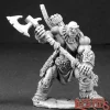 Miniature<Thelgar Halfblood, Half Orc Barbarian: Dark Heaven Legends RPR 03197 - Miniature Marvels: Airplane Models & Painted Dice