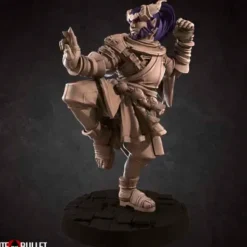 Miniature<Tiefling Monk - Miniature Marvels: Airplane Models & Painted Dice