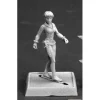 Miniature<Trinia Sabor: Pathfinder RPR 60102 - Miniature Marvels: Airplane Models & Painted Dice