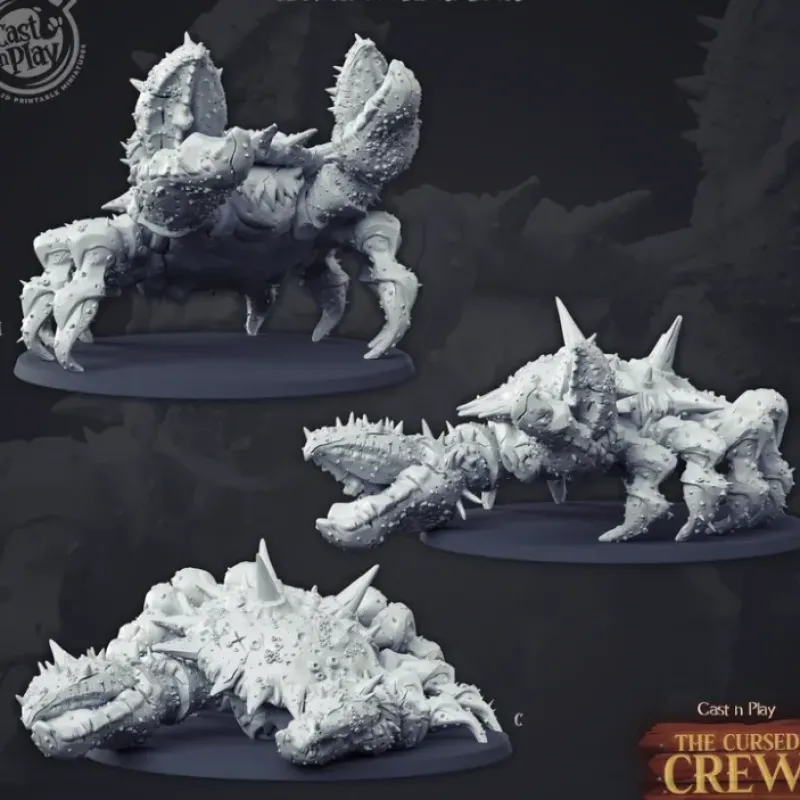 Miniature<Undead Pirate Beast Bundle - Miniature Marvels: Airplane Models & Painted Dice