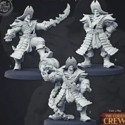 Miniature<Undead Pirate Captain Bundle - Miniature Marvels: Airplane Models & Painted Dice