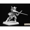 Miniature<Valeros, Iconic Male Human Fighter: Pathfinder RPR 60001 - Miniature Marvels: Airplane Models & Painted Dice