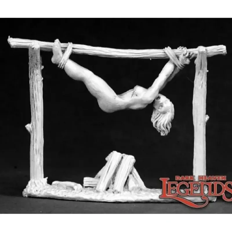 Miniature<Victim On Spit: Dark Heaven Legends RPR 03408 - Miniature Marvels: Airplane Models & Painted Dice