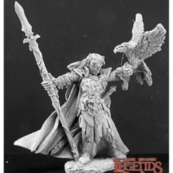 Miniature<Wood Elf King: Dark Heaven Legends RPR 02934 - Miniature Marvels: Airplane Models & Painted Dice