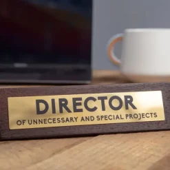Egpull<Wooden Desk Sign "Director Of Unnecessary Projects" Funny Office Gag Boss Gift - Miniature Marvels: Airplane Models & Painted Dice